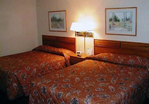 Rodeway Inn Mt. Rushmore Area Rapid City Chambre photo